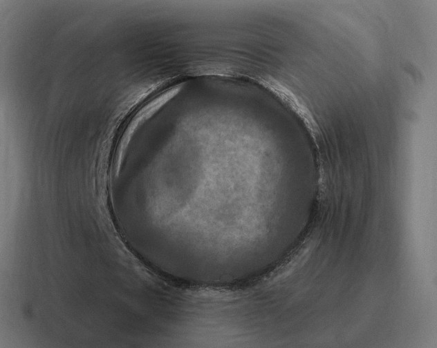 X0000116780529200912311859
