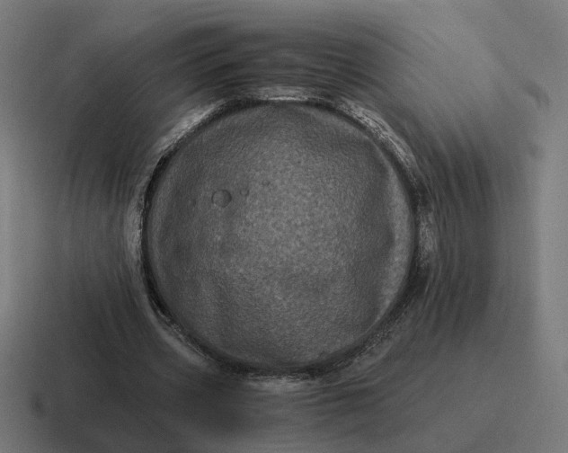 X0000116780533200912311859