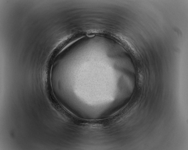 X0000116780539200912311859