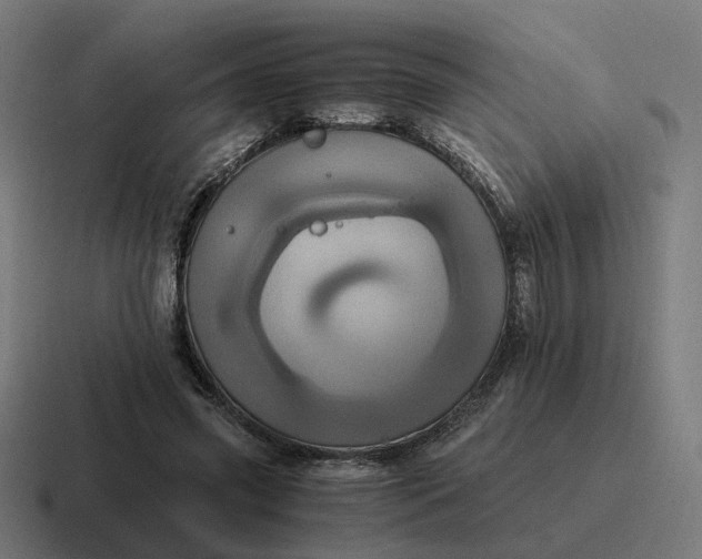 X0000116780541200912311859