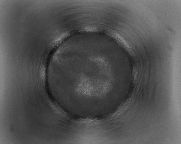 X0000116780542200912311859