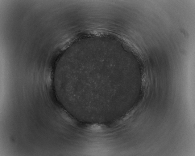 X0000116780566200912311900