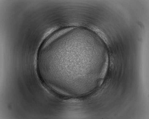 X0000116780578200912311859