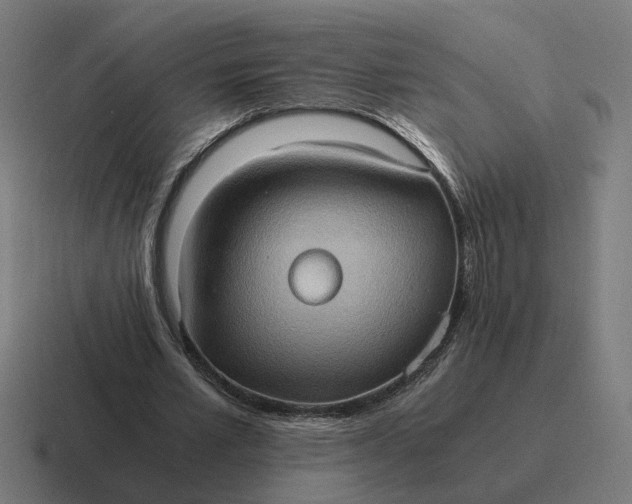 X0000116780581200912311859