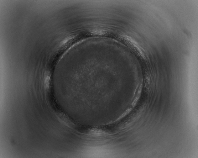 X0000116780596200912311859