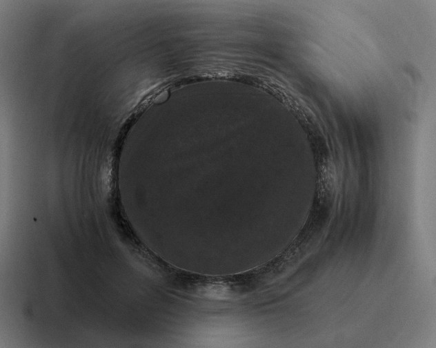 X0000116780600200912311859