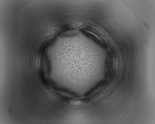 X0000116780602200912311859