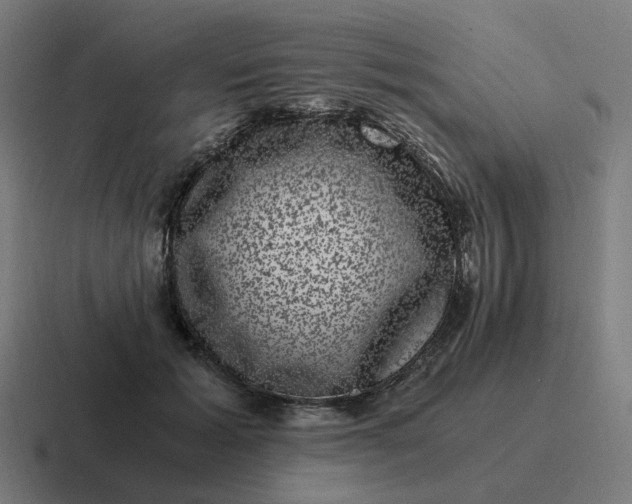 X0000116780605200912311859