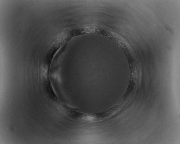 X0000116780610200912311859