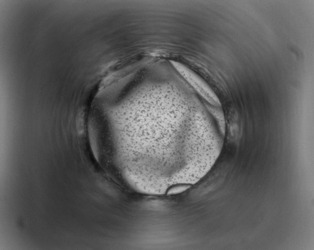 X0000116780620200912311858