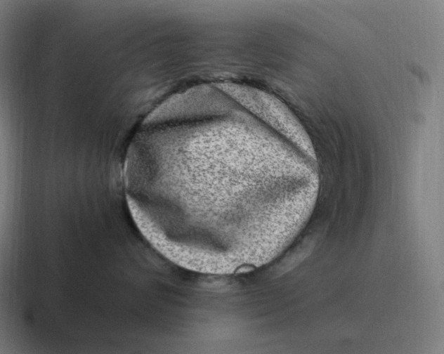 X0000116780624200912311858
