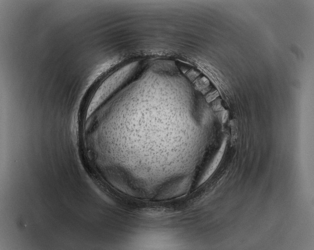 X0000116780630200912311858