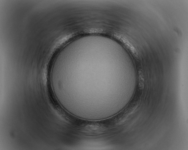 X0000116780631200912311858
