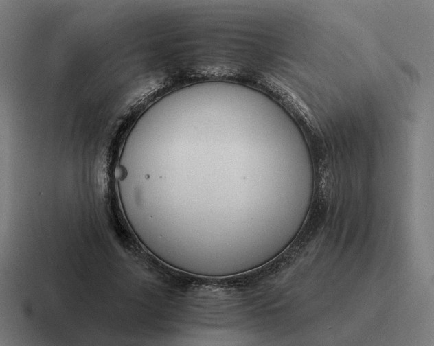 X0000116780635200912311858