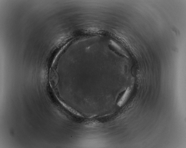 X0000116780642200912311858