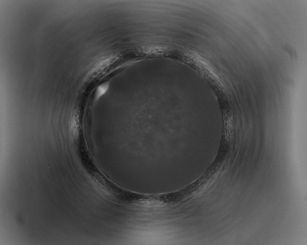 X0000116780644200912311858