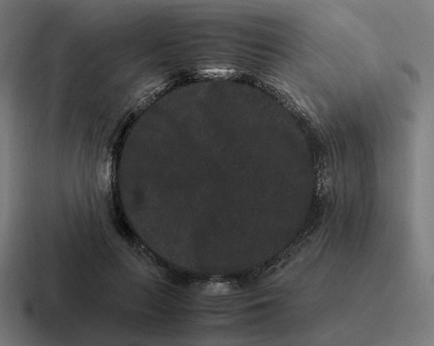 X0000116780647200912311858