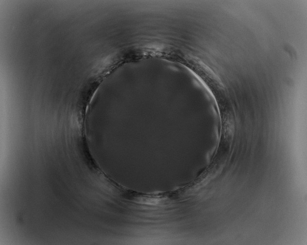 X0000116780661200912311858