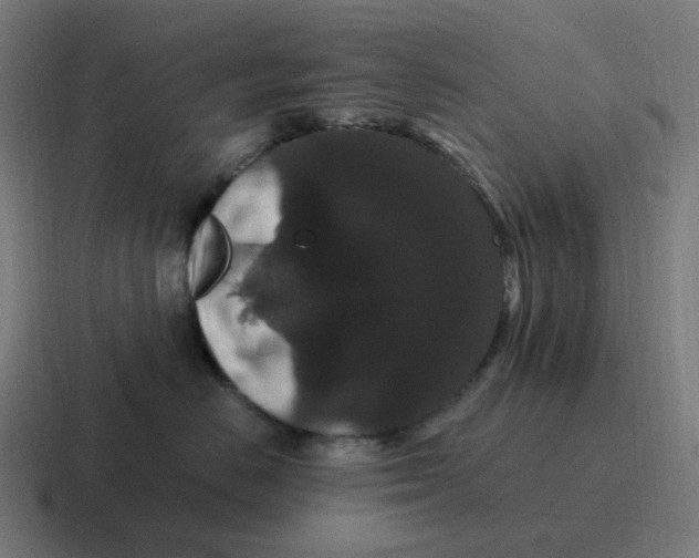 X0000116780670200912311858