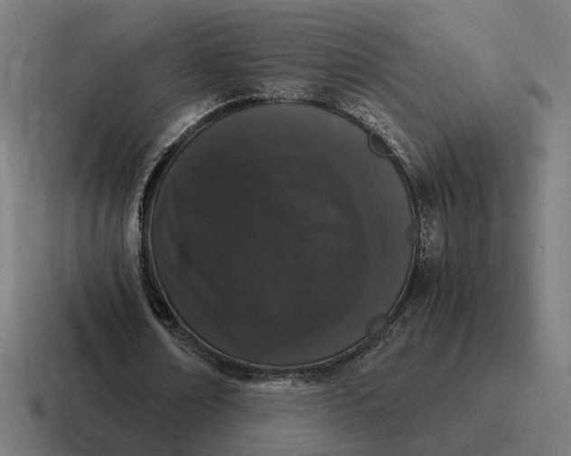 X0000116780674200912311858