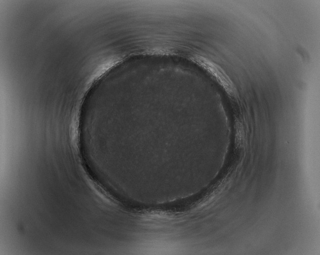 X0000116780677200912311858