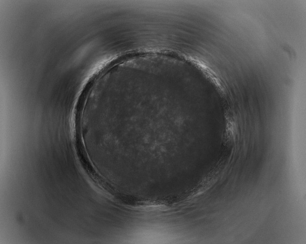 X0000116780678200912311858