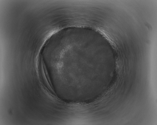 X0000116780679200912311858
