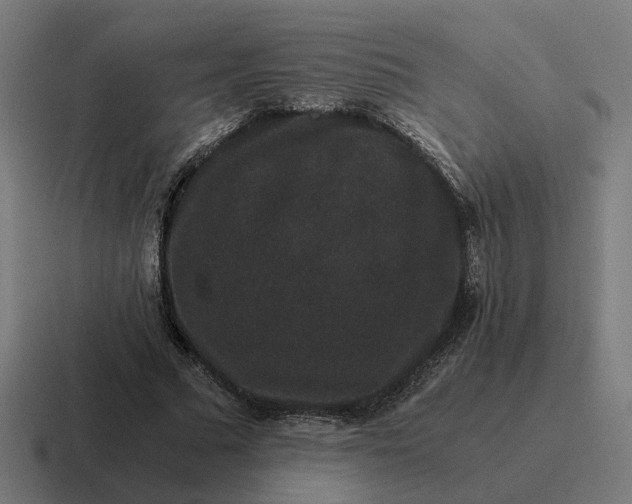 X0000116780681200912311858
