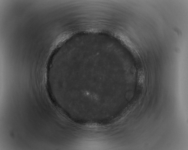 X0000116780685200912311858