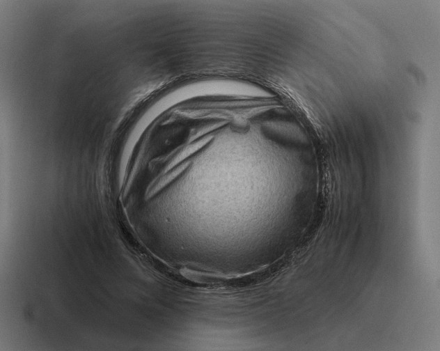 X0000116780688200912311858