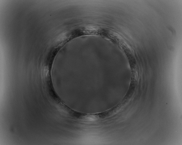 X0000116780711200912311857