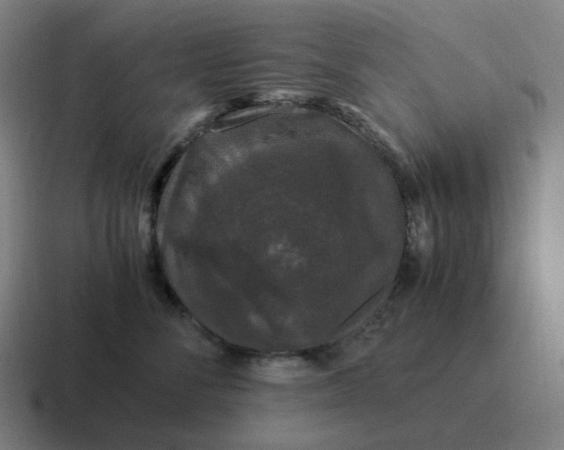 X0000116780716200912311857