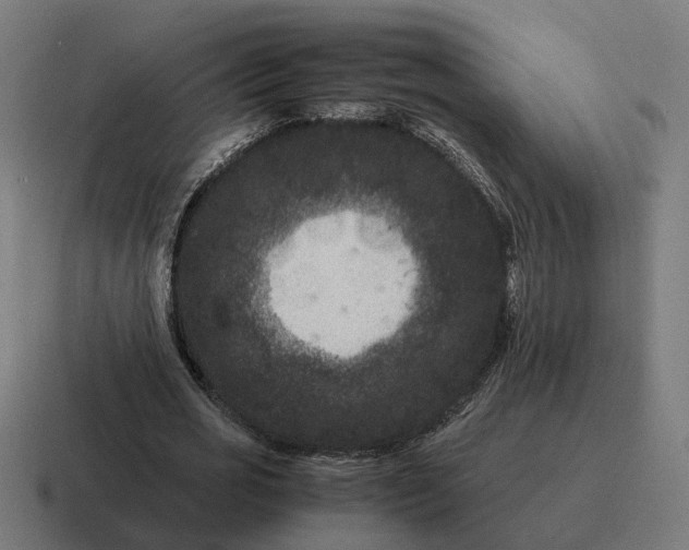 X0000116780725200912311857