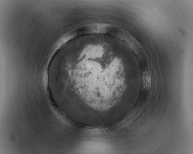 X0000116780726200912311857