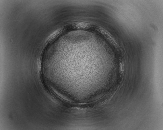 X0000116780733200912311857