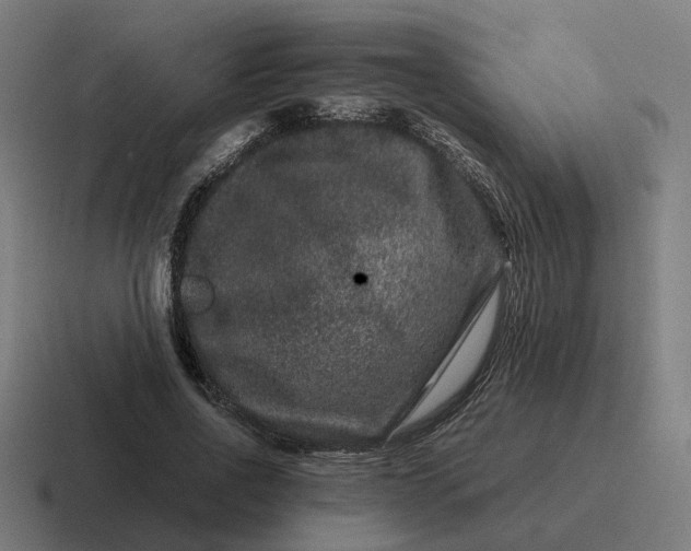 X0000116780734200912311857