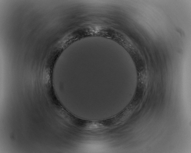 X0000116780754200912311857