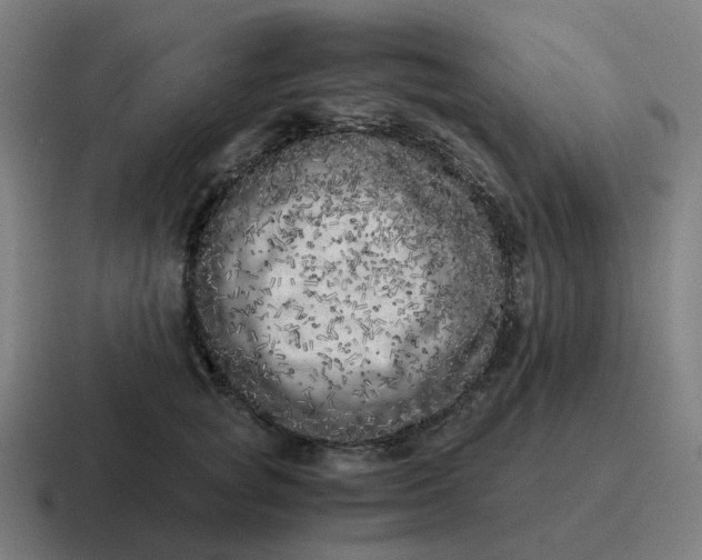 X0000116780757200912311857