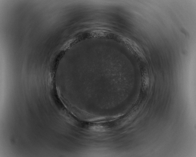 X0000116780759200912311857