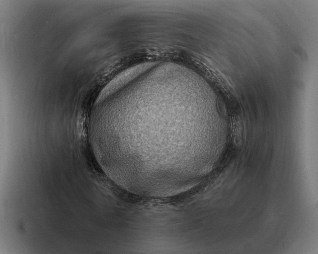 X0000116780770200912311857