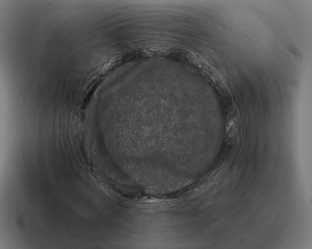X0000116780772200912311857