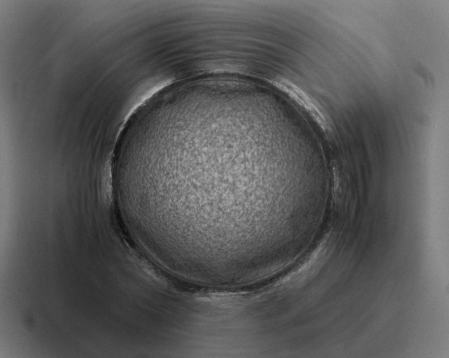 X0000116780782200912311856