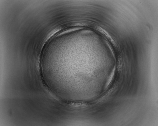 X0000116780786200912311856