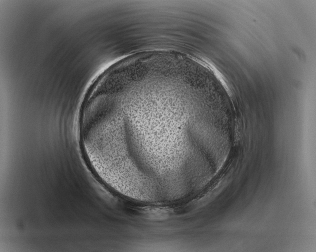 X0000116780795200912311856