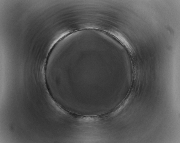 X0000116780806200912311856