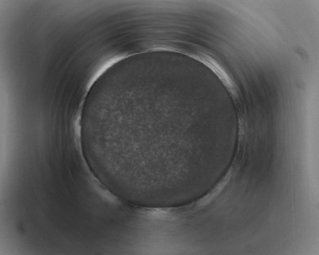 X0000116780814200912311856