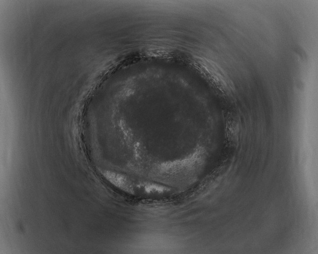 X0000116780817200912311855
