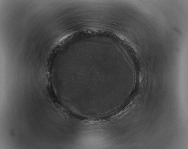 X0000116780822200912311855