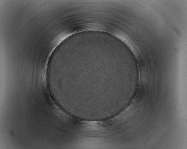 X0000116780828200912311856