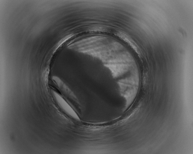X0000116780829200912311856